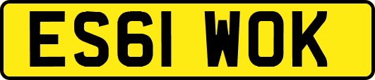 ES61WOK