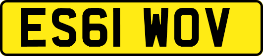 ES61WOV