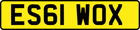 ES61WOX