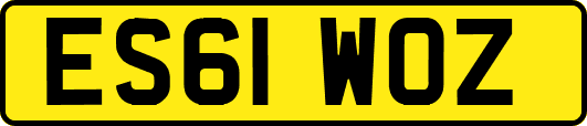 ES61WOZ