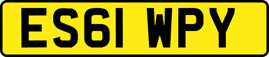 ES61WPY