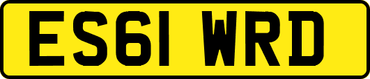 ES61WRD