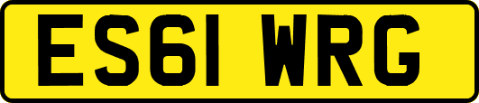 ES61WRG
