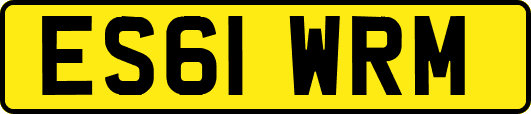 ES61WRM