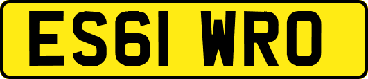 ES61WRO