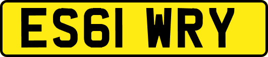 ES61WRY