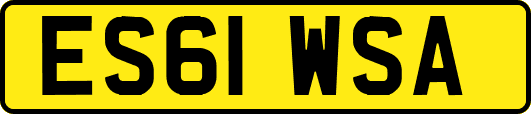 ES61WSA