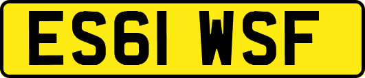 ES61WSF