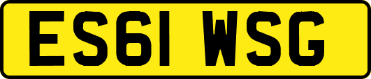 ES61WSG