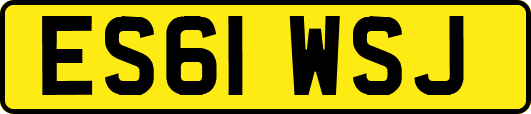 ES61WSJ
