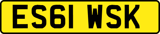 ES61WSK