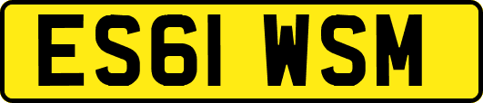 ES61WSM