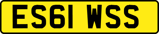 ES61WSS