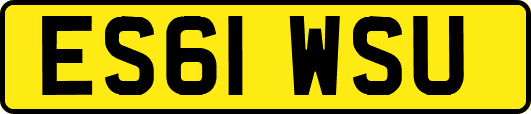ES61WSU