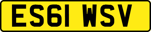 ES61WSV