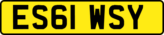 ES61WSY