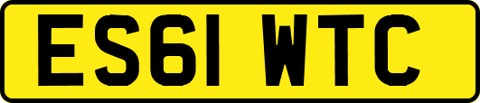 ES61WTC