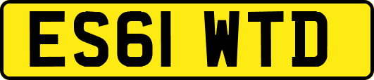 ES61WTD