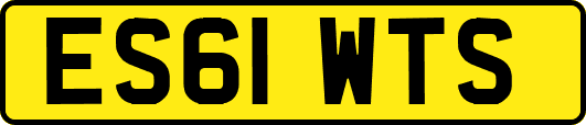 ES61WTS