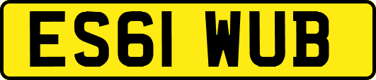 ES61WUB