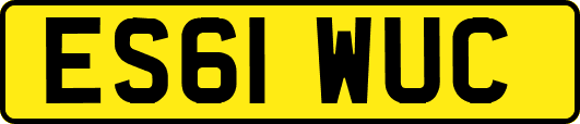 ES61WUC