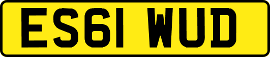 ES61WUD