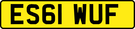 ES61WUF
