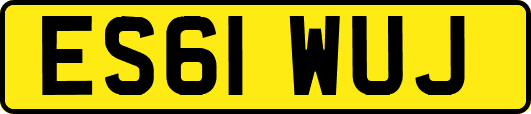 ES61WUJ