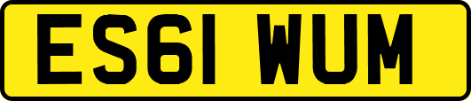 ES61WUM