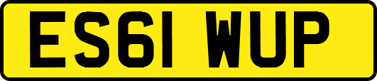 ES61WUP