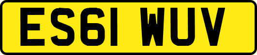 ES61WUV