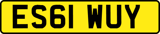 ES61WUY