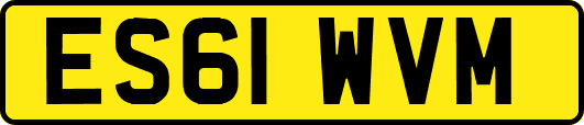 ES61WVM