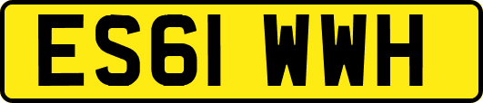 ES61WWH