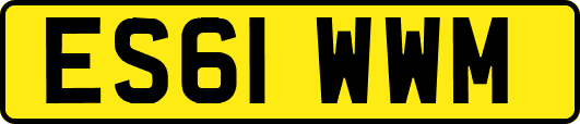 ES61WWM