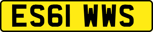 ES61WWS