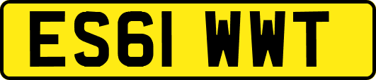 ES61WWT
