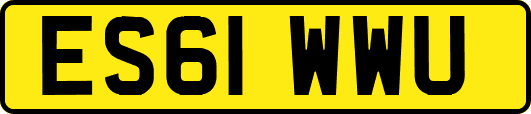 ES61WWU