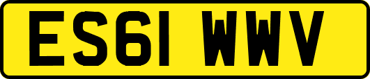ES61WWV
