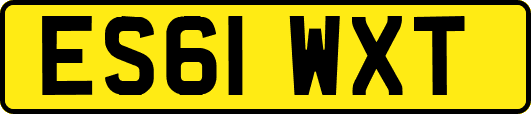 ES61WXT