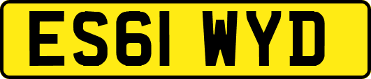 ES61WYD