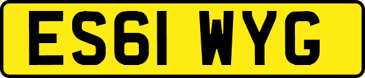 ES61WYG