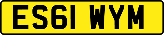 ES61WYM