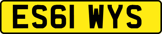 ES61WYS