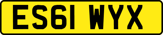 ES61WYX