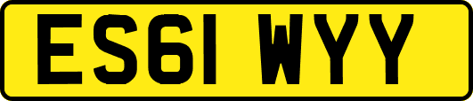 ES61WYY