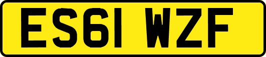 ES61WZF