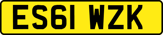 ES61WZK