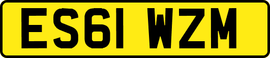 ES61WZM