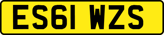 ES61WZS
